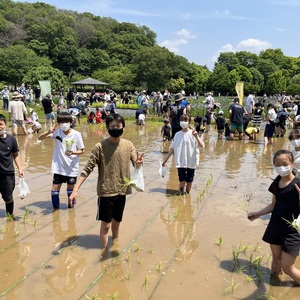 専修コース課外活動　「田植え体験」