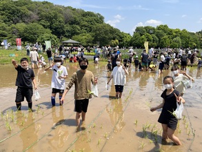 専修コース課外活動　「田植え体験」