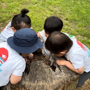 春の親子遠足に行ってきました！